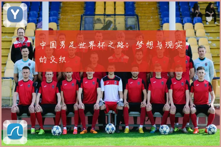 中国男足世界杯之路：梦想与现实的交织