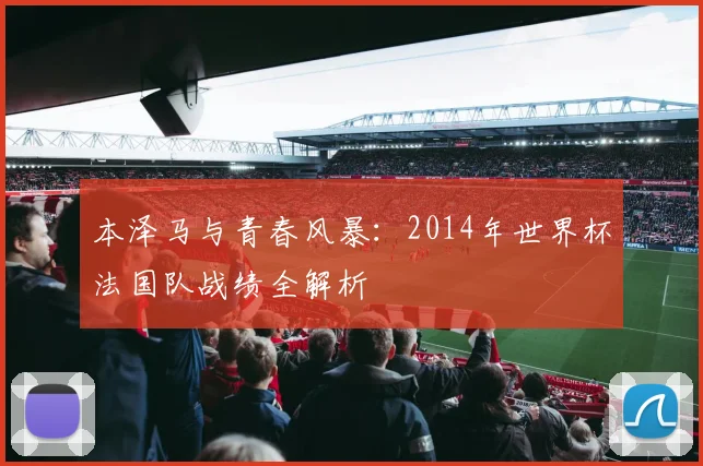 本泽马与青春风暴：2014年世界杯法国队战绩全解析