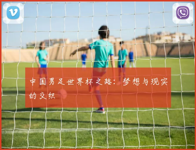 中国男足世界杯之路：梦想与现实的交织